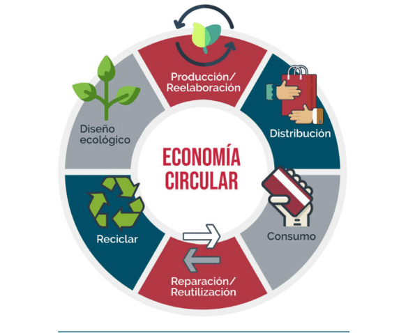 Moda circular: ¿qué es y por qué implementarla en tu confección?